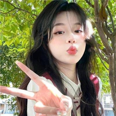 玫瑰人生国语