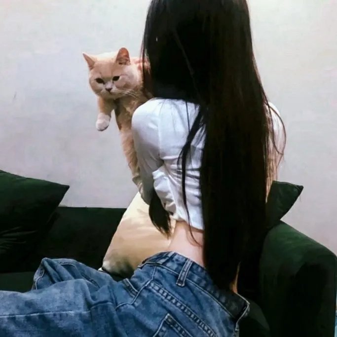 豪斯医生第二季